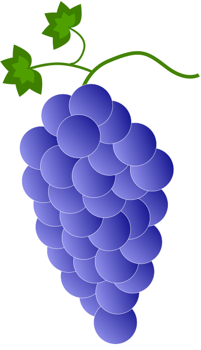 Colored Grapes - Violet \ Blue clipart