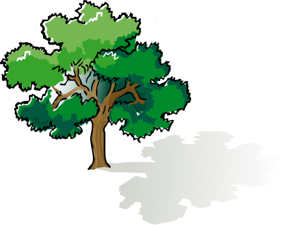 Colored oak tree clipart
