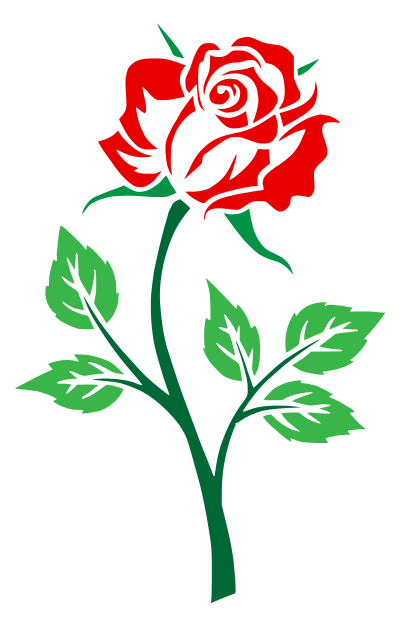 Colored Rose clipart