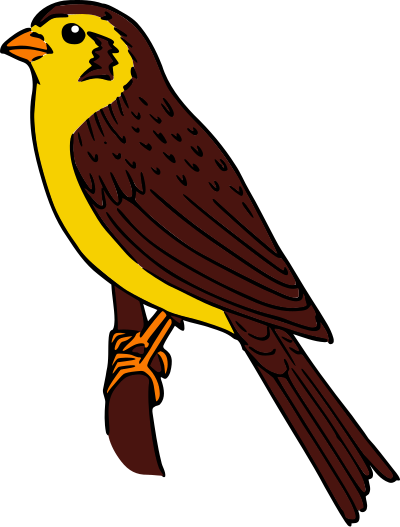 Colored Sparrow clipart