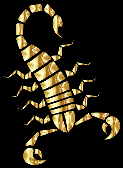 Colorful Abstract Tribal Scorpion 11 clipart
