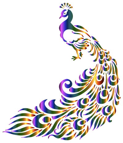 Colorful Peacock clipart