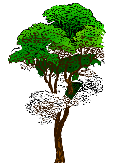 Colorized Tree clipart