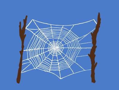 Colour Spider Web clipart