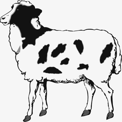 Coloured Sheep clipart