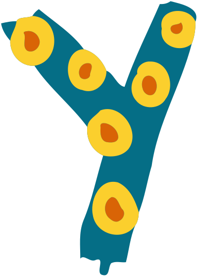 Colourful alphabet - Y clipart
