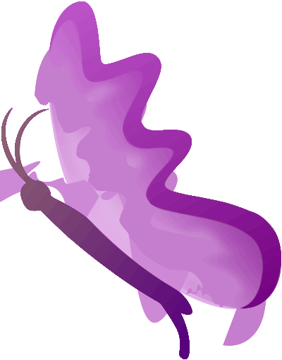 Colourful butterfly clipart