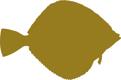 Common dab clipart