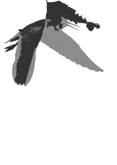 Common redshank clipart