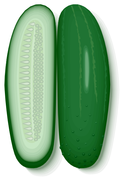 Cucumbers clipart
