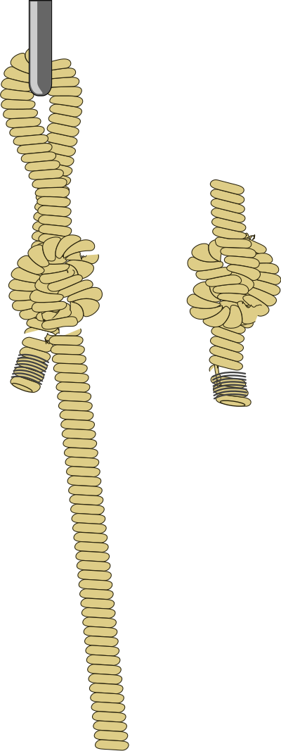 Cuerda y alcayata clipart