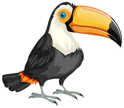 Cute Toucan clipart
