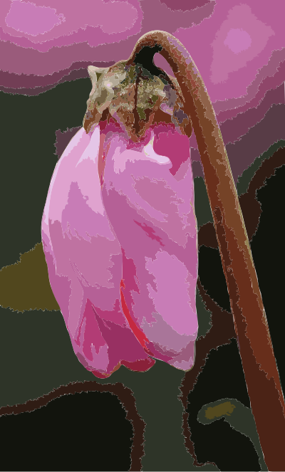 Cyclamen persicum Mill 08DEC06 clipart