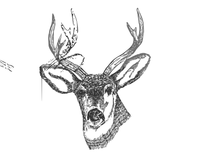Deer Head clipart
