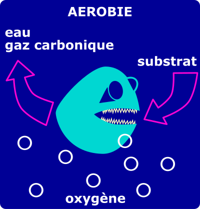 Dégradation aérobie clipart