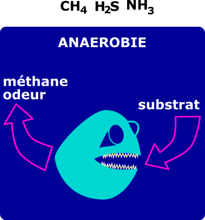 Degradation anaerobie clipart