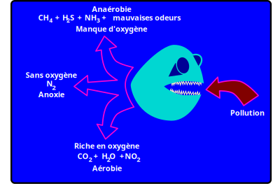 Dégradation bactérienne clipart
