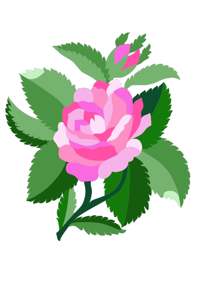 Design for damask rose clipart
