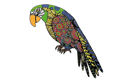 Detailed Parrot clipart