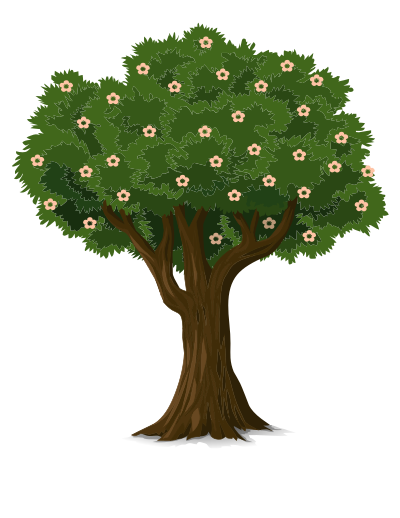Detailed Tree clipart