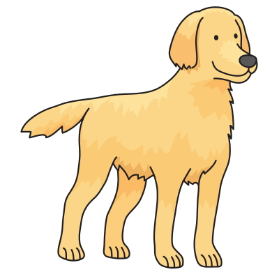 dog - Golden Retriever clipart