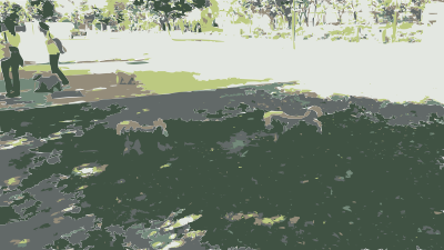 Dogs Walking in Park clipart