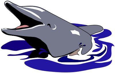Dolphin clipart