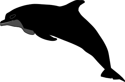 Dolphin clipart