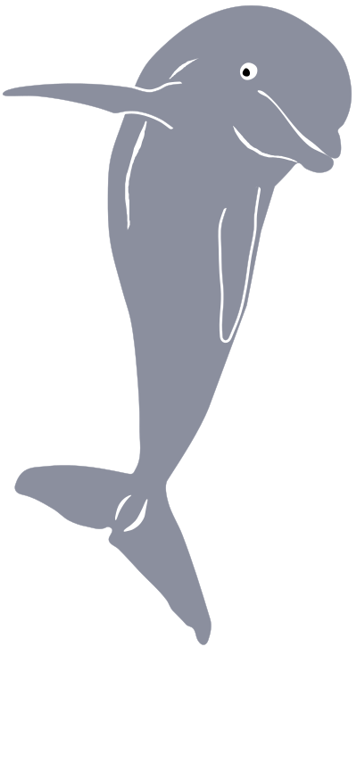 Dolphin Jumping, Front clipart