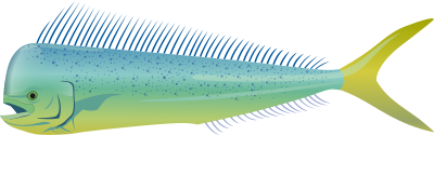 Dolphinfish clipart