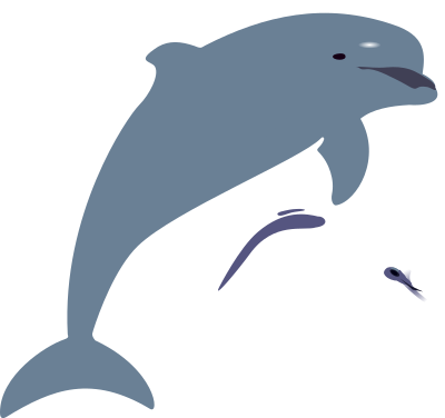 Dolphins, delfinai, animals clipart
