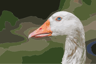Domesticated goose head, Chaguaramal, Venezuela clipart