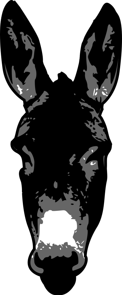 Donkey clipart