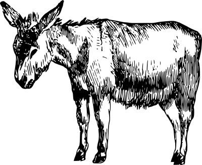 Donkey clipart