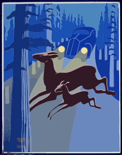 Don't Kill the Wildlife clipart