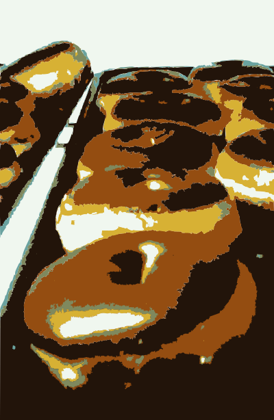 Donuts clipart