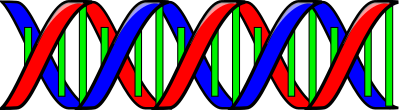 Double Helix (DNA) clipart