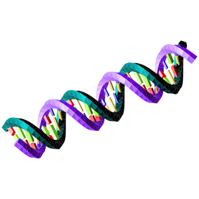 Double-stranded DNA sequence clipart