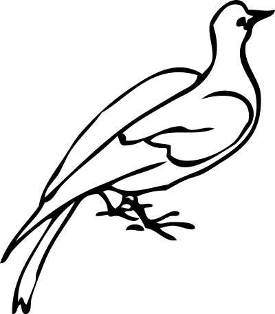 Dove clipart