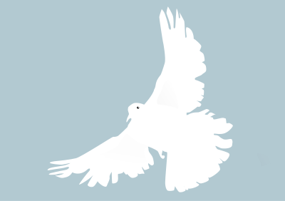 Dove - colombe clipart
