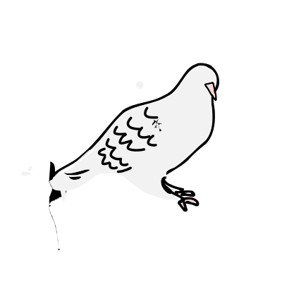 Dove is sitting clipart