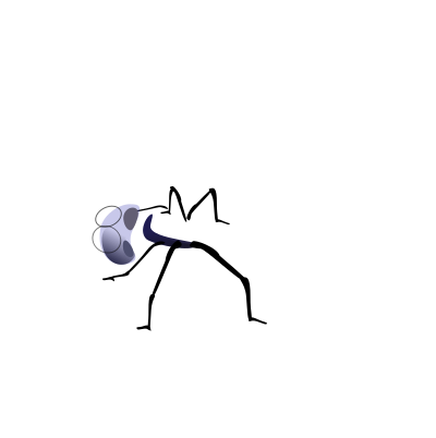 Dragonfly clipart