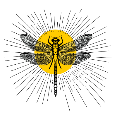 Dragonfly and the Sun clipart