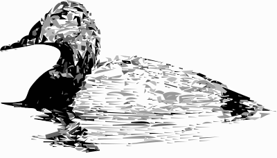 Drakecanvasback clipart