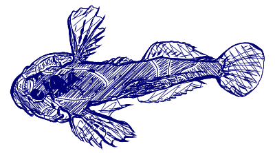 Drawn Fish clipart