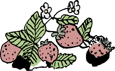 Drawn Strawberries clipart
