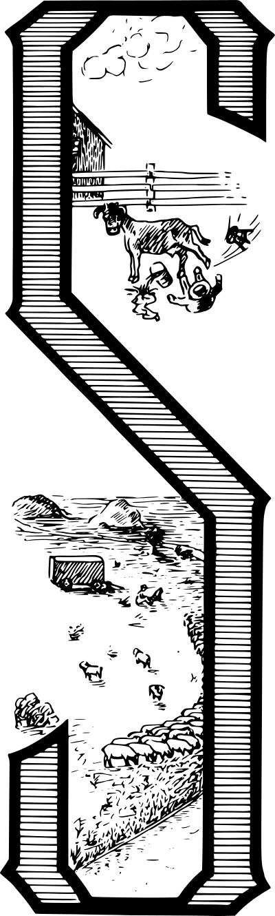 Drop Cap S clipart