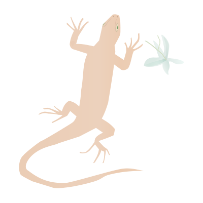 Dry clipart