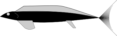 DS-012 Fish clipart