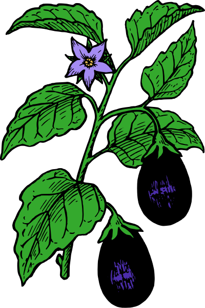 Eggplant - Colour clipart